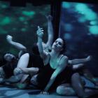 Camouflage - Diana Zehetner